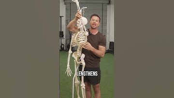 Why Dead Hangs Instantly Fix Shoulder & Spine Mobility