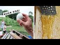 First DUCK EGG + ALL the HONEY (homestead VLOG)