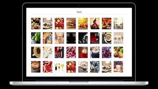 Flickr Album Gallery WordPress Plugin Installation And Customization