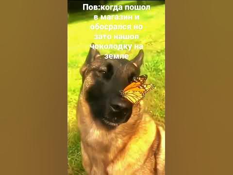 мега мем#мем#шутка#мэм#мем#юмор#смешно - YouTube