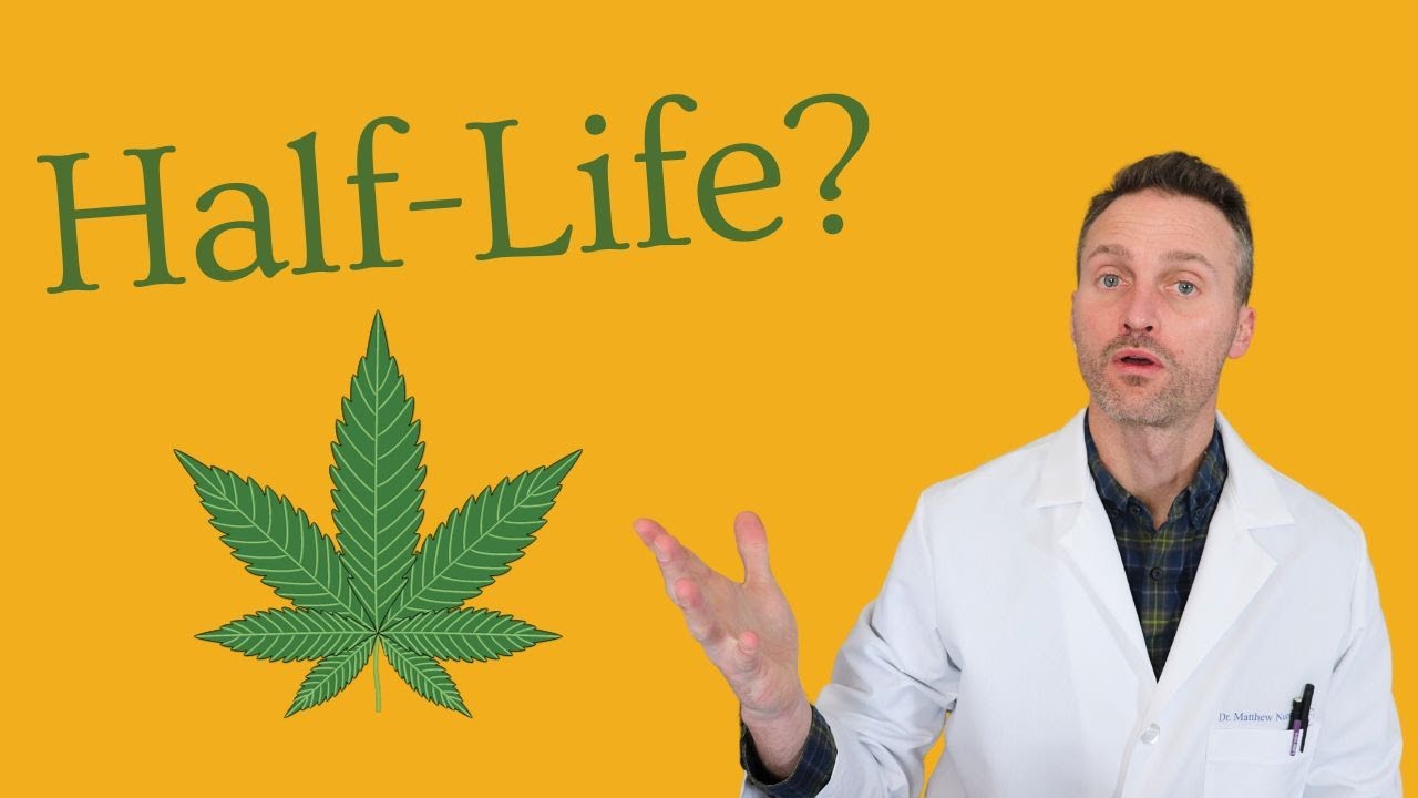 Understanding THC Half life And Detection Times YouTube Understanding THC Half life And Detection Times YouTube
