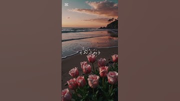 الخيرة فيما اختاره الله{وعسى ان تكرهوا شيئا وهو خير لكم و عسى ان تحبوا شيئا و هو شر لكم} سورة البقرة