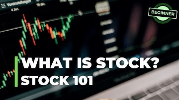 Stock Market Explained in 2 minutes! | What is STOCK? | Stock 101 | Wealth Wiser 101