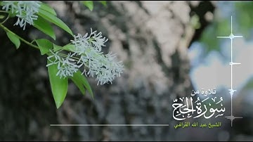 تلاوة بديعة  من سورة الحج للشيخ عبدالله القرافي