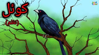 koel ( poem) کوئل) نظم ) Urdu Bedtimes Stories TaleToons Tv.