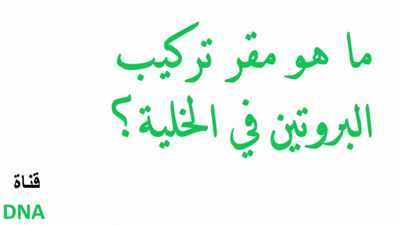 تركيب البروتين للسنة الثالثة ثانوي