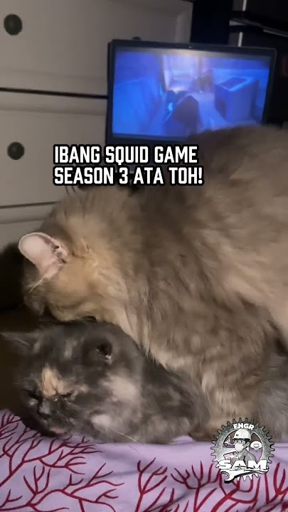 Ibang squid game to a