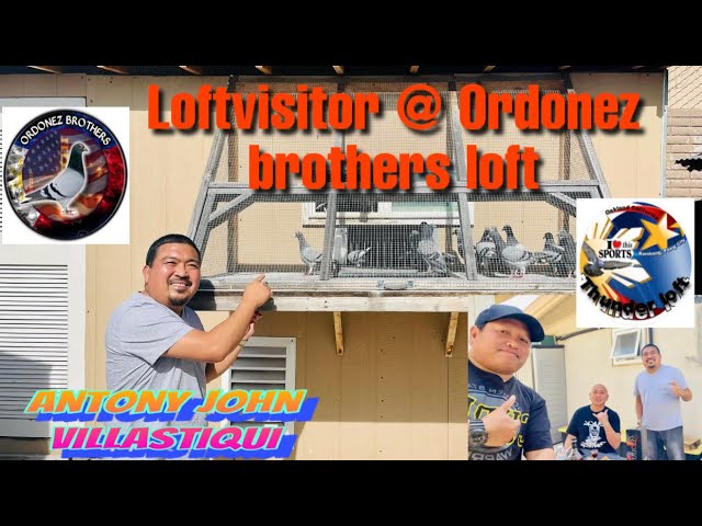 Loft visitor na pa Wow sa ganda ng ibon ng Ordonez Brothers Loft class=