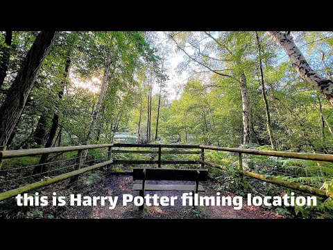 Journey to the black Park: Walking through Harry Potter Movie Locations