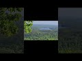 Tree at top of Morrow Mountain ASMR #uwharrie #nature #camping #asmr #morrowmountain #relaxing