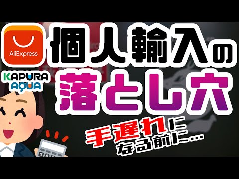 知らないと損する３つの課税／個人輸入／せどり／地方税 ...