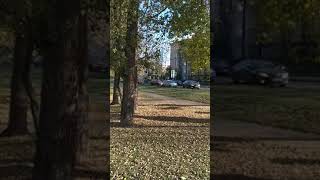 Уникально Осень 2021 Лосиноостровский Свао Москвы Russian Autumn