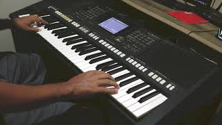 Espirito Santo - Fernanda Brum - Teclado - Yamaha PSR S950