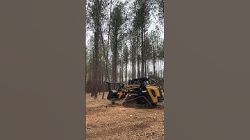 Mulching pine trees with the ASV.  #mulching #forestrymulching #shorts #asv #followontiktok #texas
