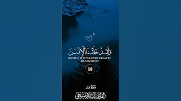 أكتب شيء تؤجر عليه 🙃🖤 #خشوع #قرآن#تلاوة_خاشعة #تلاوة_مؤثرة#اسلام_صبحي