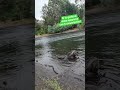 truchon arcoiris ! VIDEO GRABADO EL 01 ABRIL 2026 #pescatrucha #pescachile #fishing ##chile #trucha