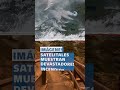 ¡Impactantes imágenes! Muestran consecuencias de los incendios en Canadá #shorts
