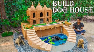 Rescuing Abandoned Puppies: Building a Mud House and Turtle Pond