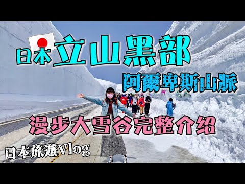 日本北陸景點必看【立山黑部】阿爾卑斯山脈🗻 漫步大雪谷 完整路線介紹