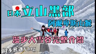 日本北陸景點必看【立山黑部】阿爾卑斯山脈 漫步大雪谷完整 ... 