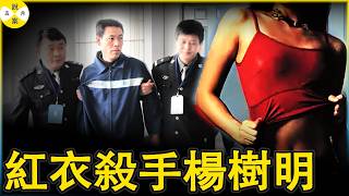 連環殺手楊樹明專挑穿紅衣服的女人下手 十四年不間斷作案十二起 世上所有美好的東西得不到就毀掉#紅衣殺手#中國大案紀實#紀實故事分享#五月說案#连环杀手