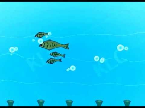 Fish swimming in water 2d flash animation - YouTube
