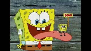 The Bird Brains sing 