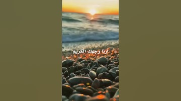 دعاء القارئ هاني الرفاعي يا الله  #راحة_نفسية #foryou #quran #shortvideo #fypシ #viral #explore