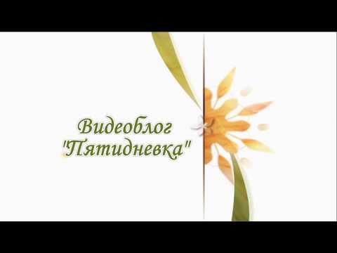 Девятая глава "Евгания Онегина", как каприз Пушкина...