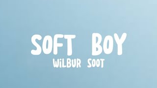 Wilbur Soot - Soft Boy (Lyrics)
