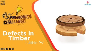 Civilianz Maze 3.0 | Pnemonics Challenge | Defects In Timber | Entry 2