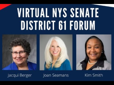 senate district nys