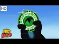 Animal Adventures Quiz