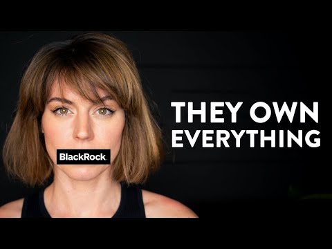 This company owns the world (and it&rsquo;s our fault) - BlackRock