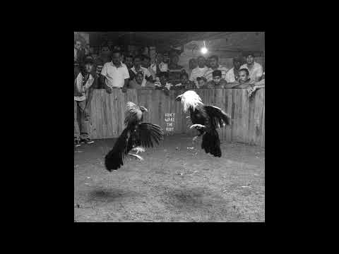 Black Pistol Fire - Tombstone Taillight