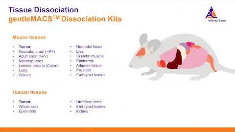 Best Practices in Sample Preparation for Single Cell Sequencing-MILTENYI