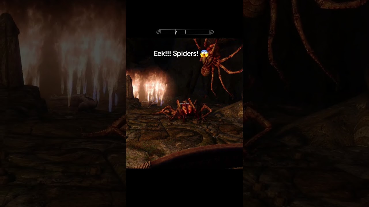 Didn't see them until I look up. 