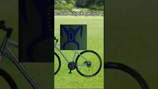 S-Çtık Çek