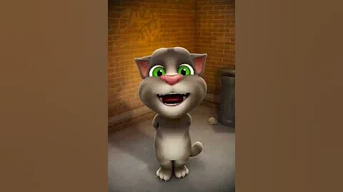My cat