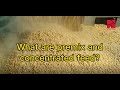 What are premix and concentrated feed