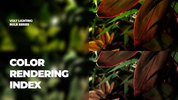 What is CRI - Color Rendering Index? | Bulb Series