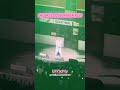 Recap of Druski’s COULDA BEEN FEST TOUR stop in Brooklyn! Best $20 l ever spent for a concert 😂🔥