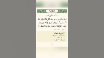 السراج في بيان غريب القران سورة الزمر تلاوة الشيخ سعد الغامدي