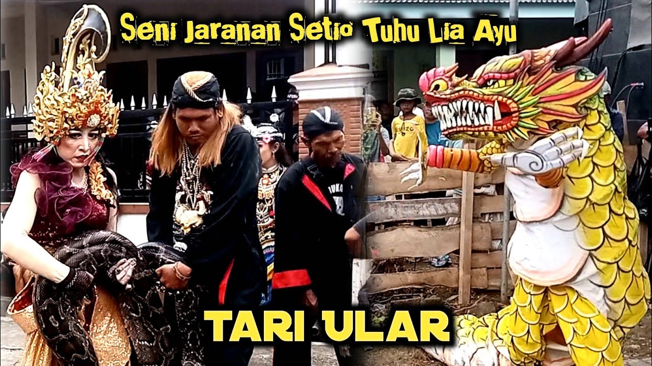 Aksi Spektakuler Penari Ular Indonesia Lia Ayu di Jaranan Setio Tuhu Lia Ayu live Barurejo
