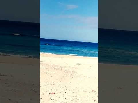 فى عز الشتا واحنا اى الساحل