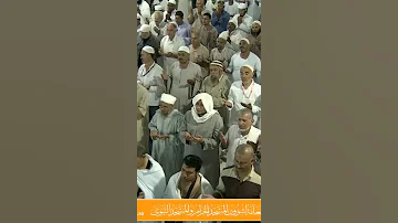 الشيخ د بندر بليلة دعاء ١٤٣٧ هجري رمضان 