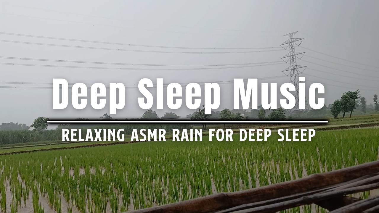 【睡眠用】屋根に当たる雨音 🌧️ 8時間・不眠症改善・リラックス・ASMR Rain Sounds for Sleep