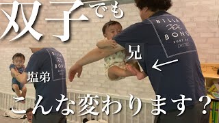 【双子】サークルが嫌いになった兄リンちゃんと塩対応な弟コタ/生後8ヶ月/生後270日 #vlog