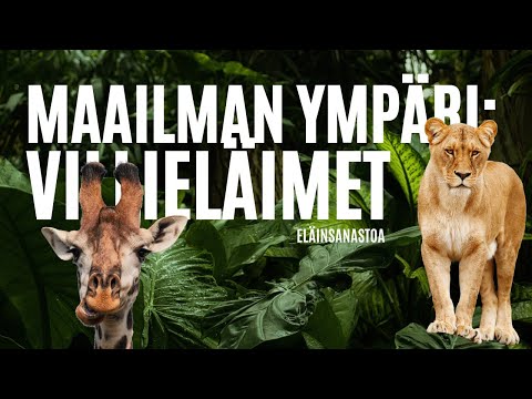 Video: Vauvaeläin - villi ja kotieläin