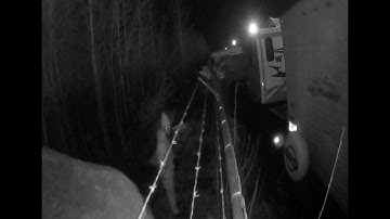 STOPPED by Deep Sentinel #48: Live Guards Chasing Off Trespassers